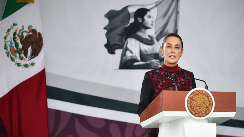 Trade war: The view from Mexico