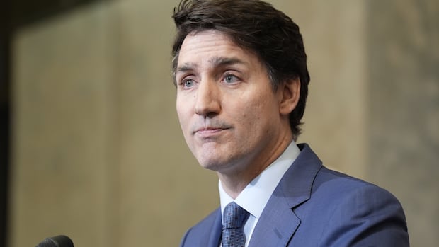 Trudeau gets smiles with stern speech to President 'Donald'
