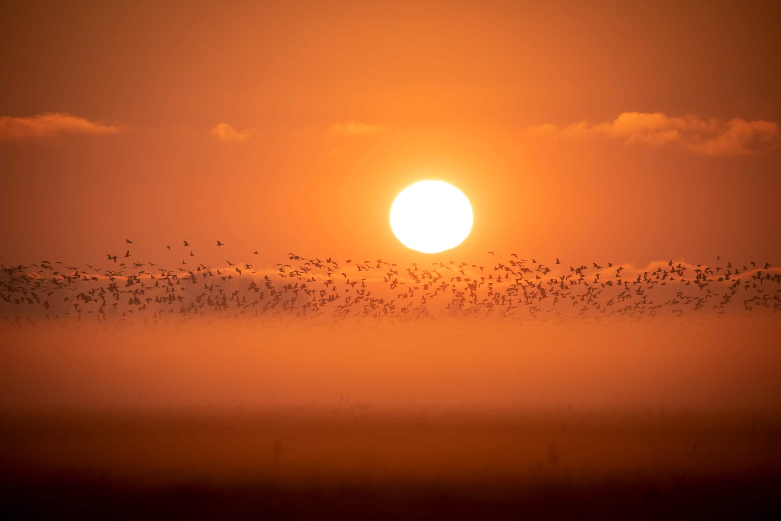 We're about to spring forward. Here's what would happen if we didn't change our clocks
