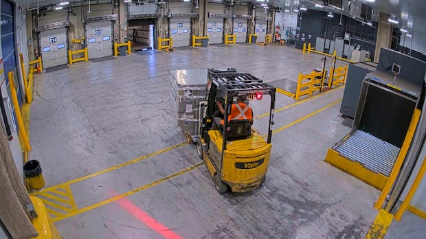 Alleged wheelman in Pearson gold heist strikes plea deal in U.S.