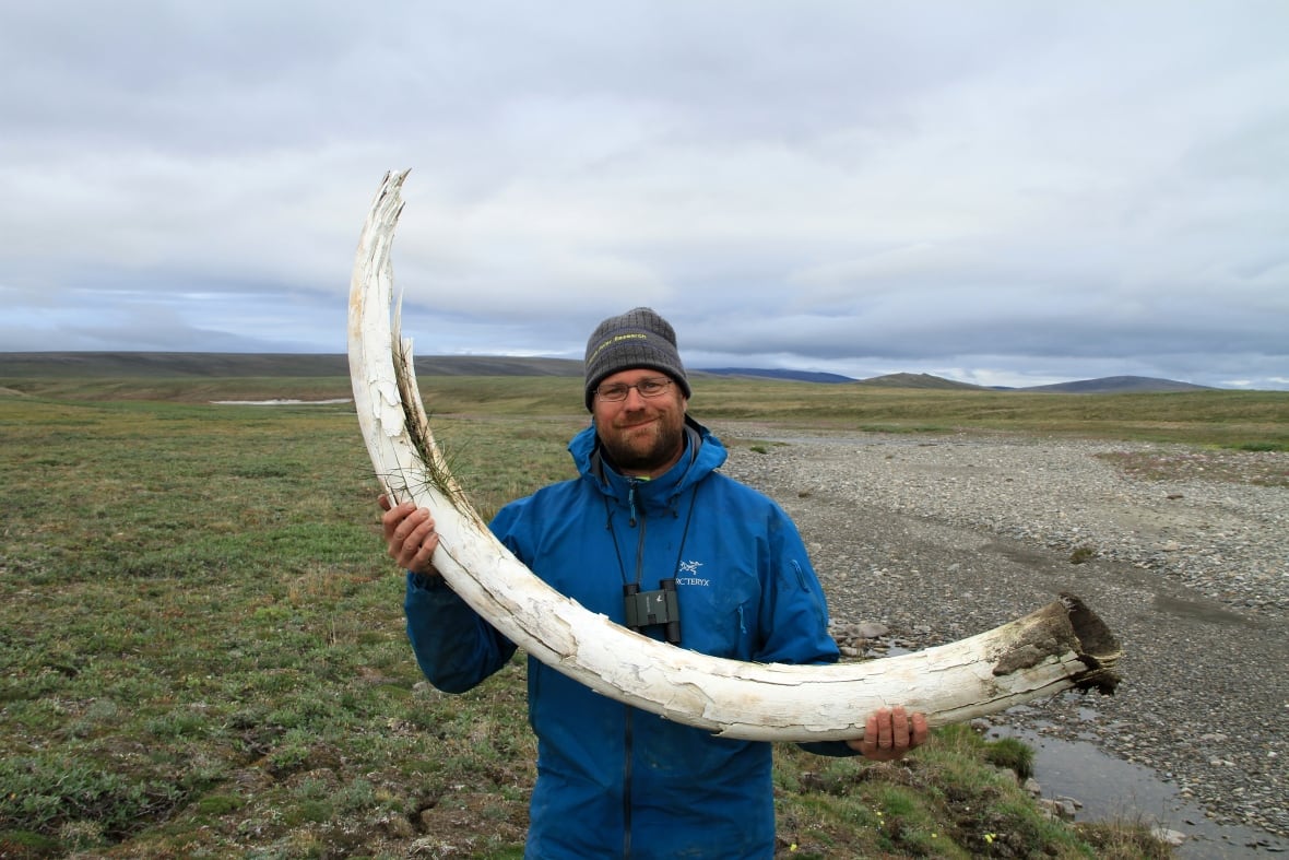 Ancient tooth found near Old Crow, Yukon, belongs to earliest woolly mammoth in North America