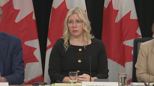 As foreign actors work to influence Canada's election, how safe is your vote?