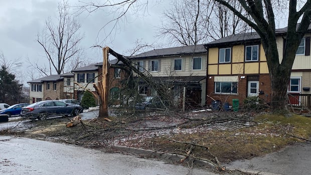 Heavy rainfall and more freezing rain hits Toronto and surrounding areas