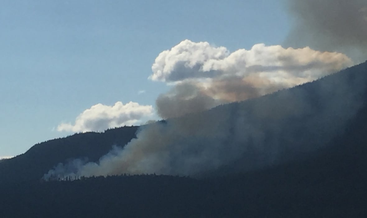 I work in forestry. I feel torn as a voter between my livelihood and climate actionÂ 