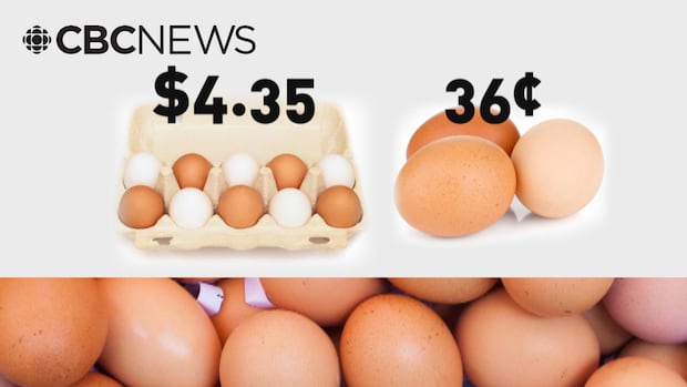 Oeuf! U.S. egg prices hit record high despite Trump's claim they're 'much cheaper'