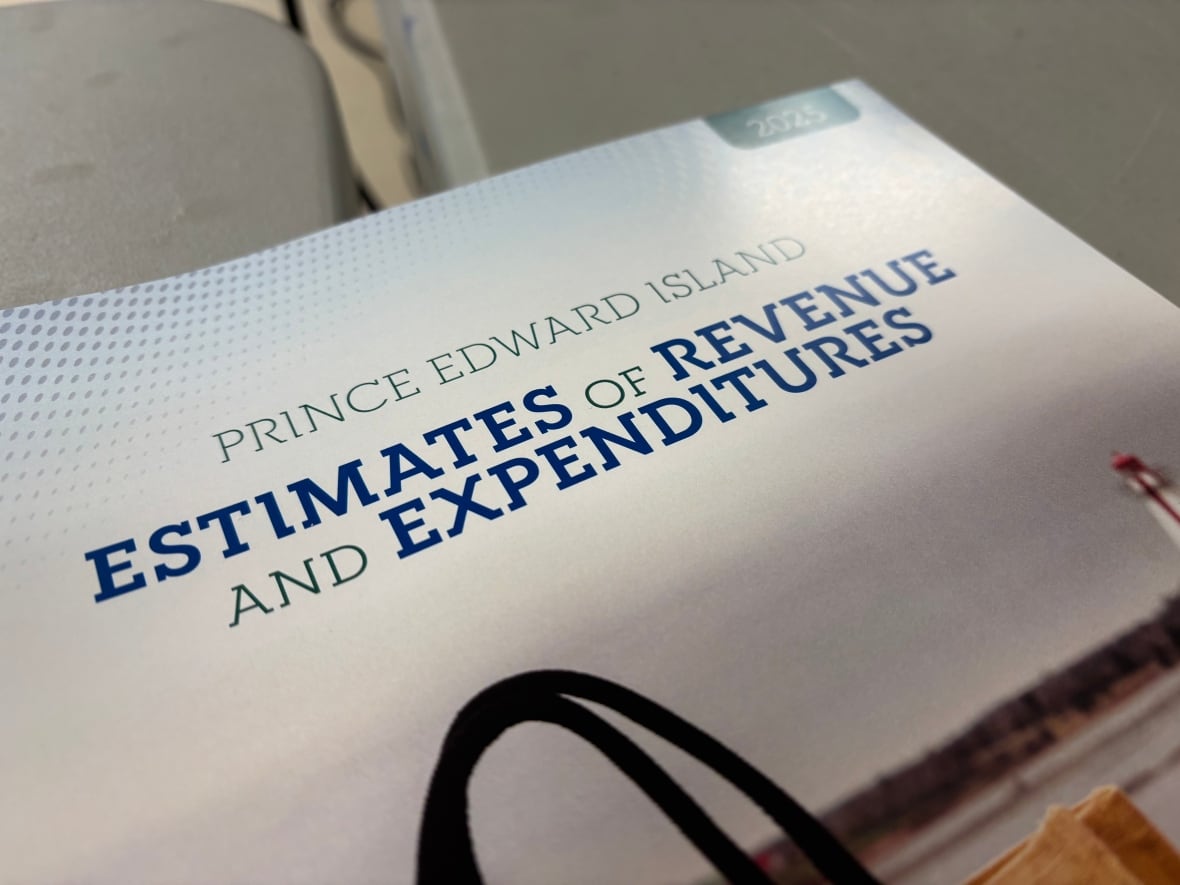 P.E.I. projects record $183.9M deficit in budget designed with population growth, trade war in mind
