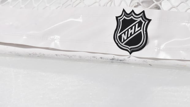 Rogers to retain Canadian NHL rights with 12-year, $7.7-billion US deal: reports