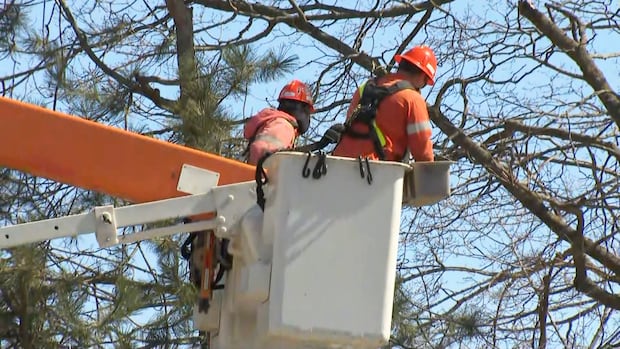 Tens of thousands still without power in Ontario after pair of storms