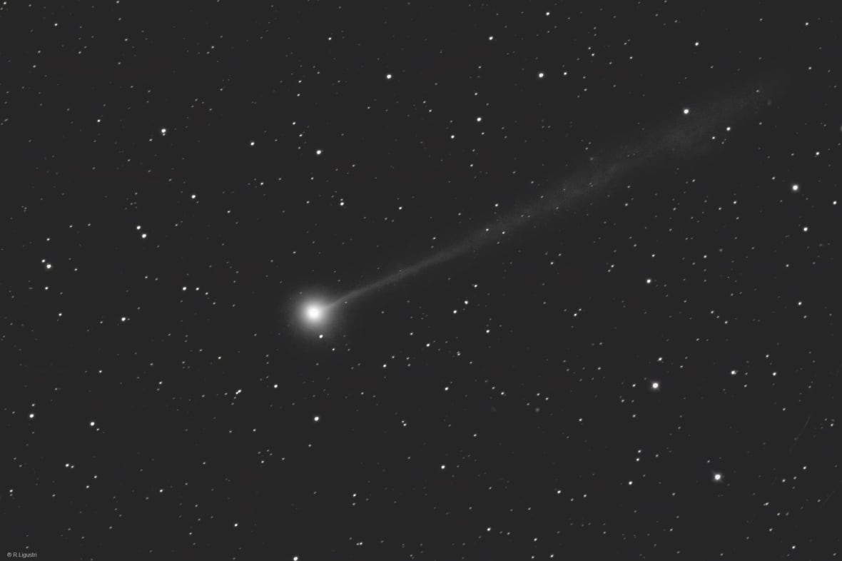 There's a new comet in the sky, and it's already visible through binoculars