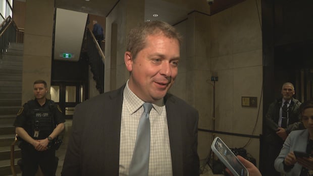 Conservatives choose Andrew Scheer as interim Opposition leader