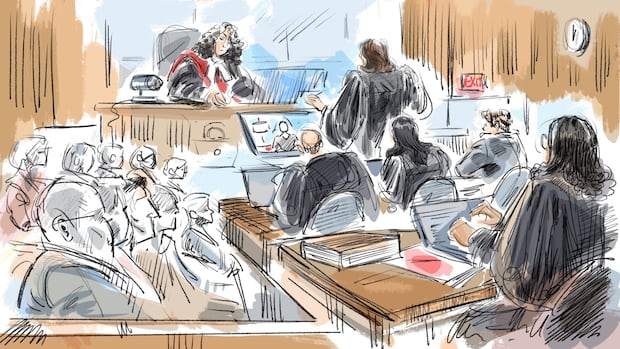 Defence in ex-world juniors sex assault trial suggests woman's 'alter ego' didn't 'think of the consequences'