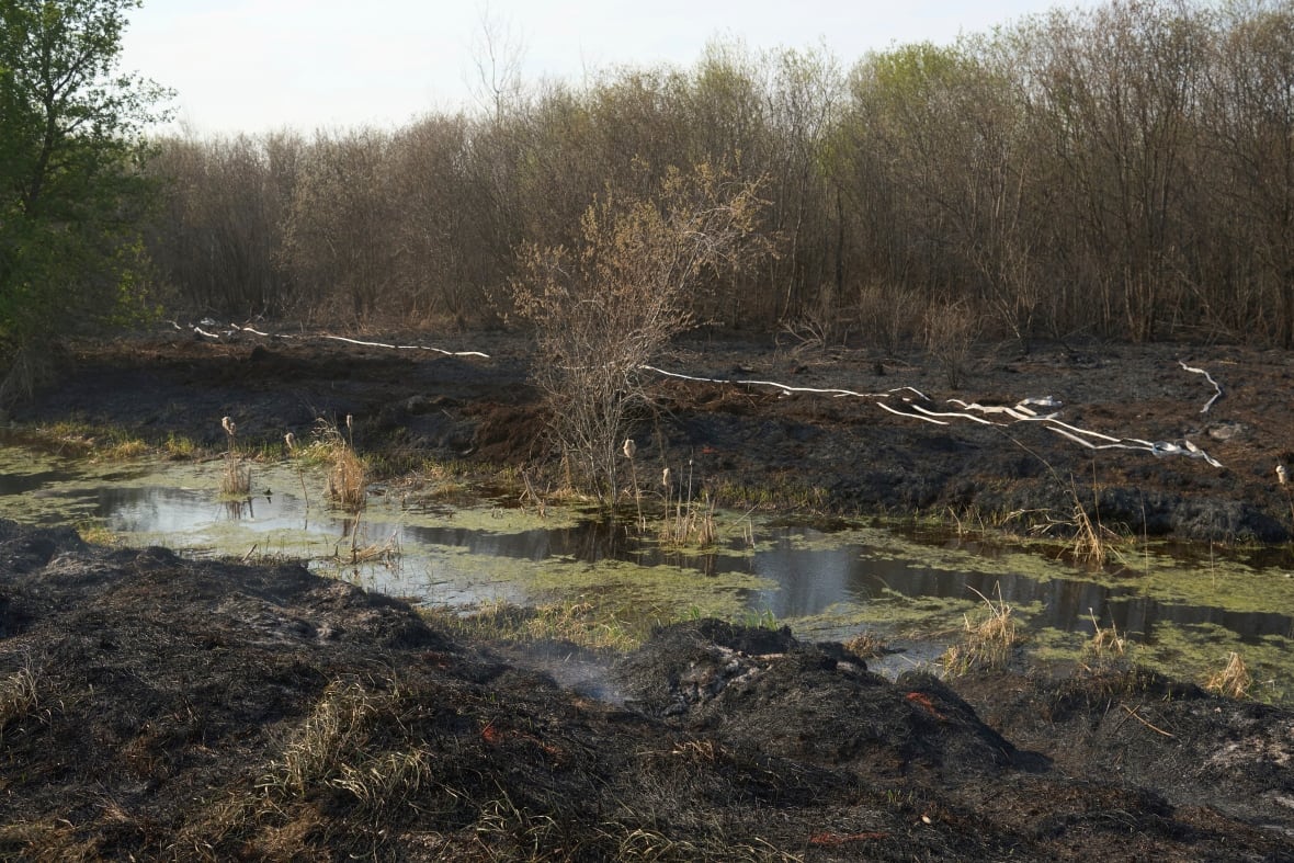 Emergency response to deadly Manitoba wildfire to be reviewed, reeve says