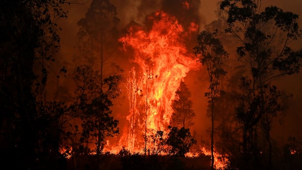 Forecast for the next 5 years? Record-breakingly hot, UN weather agency says