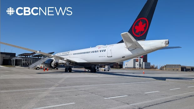 Frustrated Air Canada pilot slams air traffic controller shortage to passengers on flight