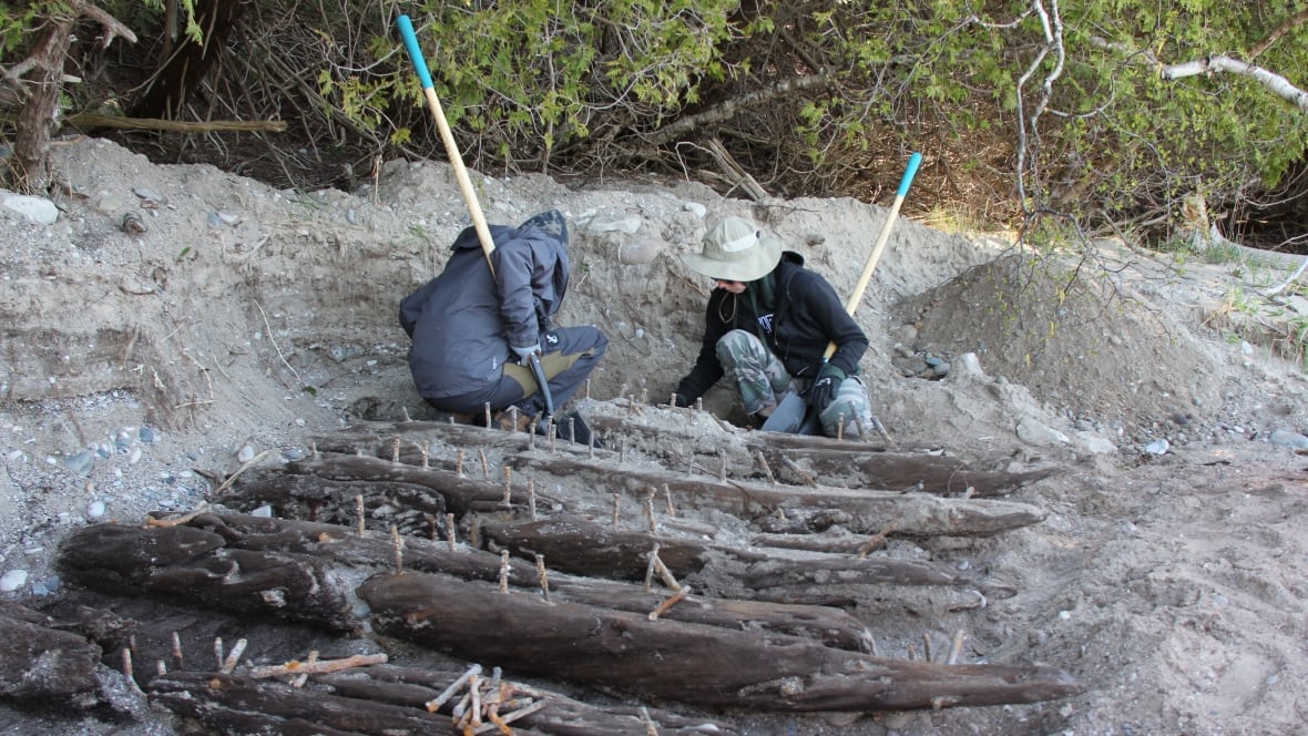 'I did not expect to find a shipwreck!' says boy whose treasure is being excavated