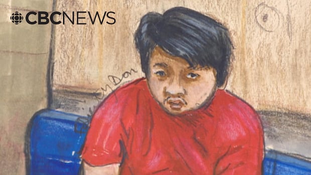 Judge grants assessment to see if suspect in Vancouver festival tragedy is fit for trial