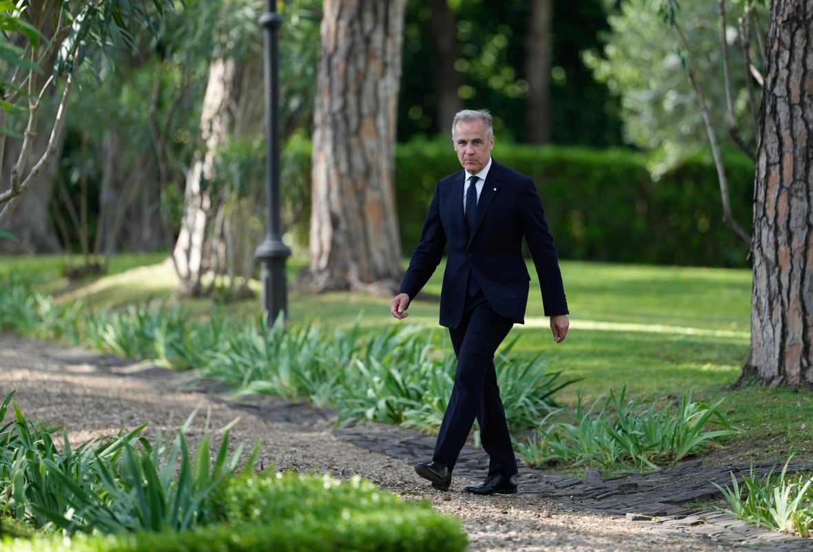 Liberals will table a budget this fall, Prime Minister Mark Carney says