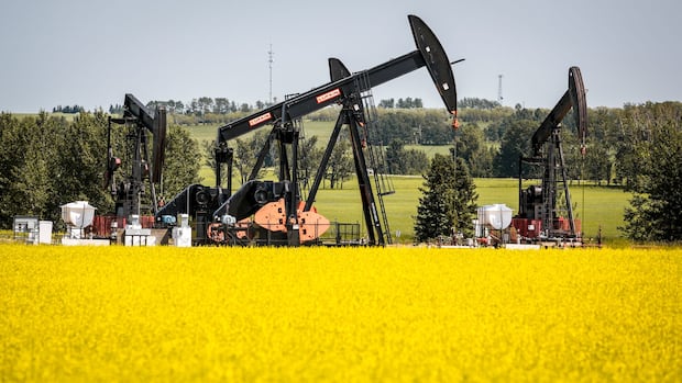 New Liberal government should scrap EV tariffs on China to help trade, climate goals, say critics