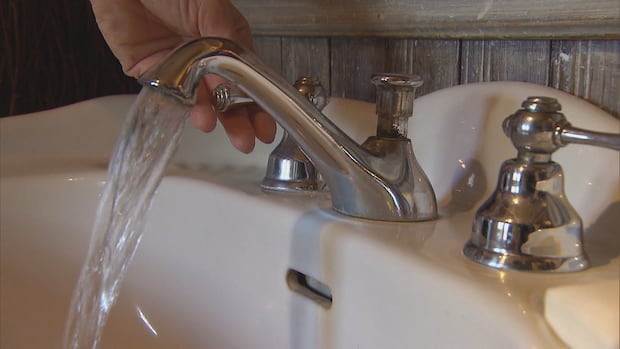 Quebec study finds 'cocktail of different pesticides' in treated tap water