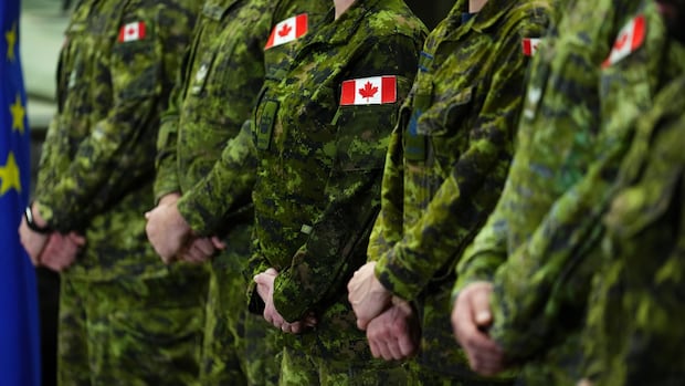 Retired Canadian army colonel fined, reprimanded for insulting British senior officer
