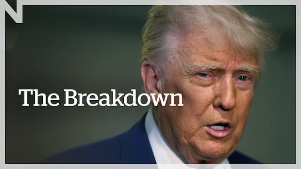 Trump says he plans to double steel tariffs to 50%