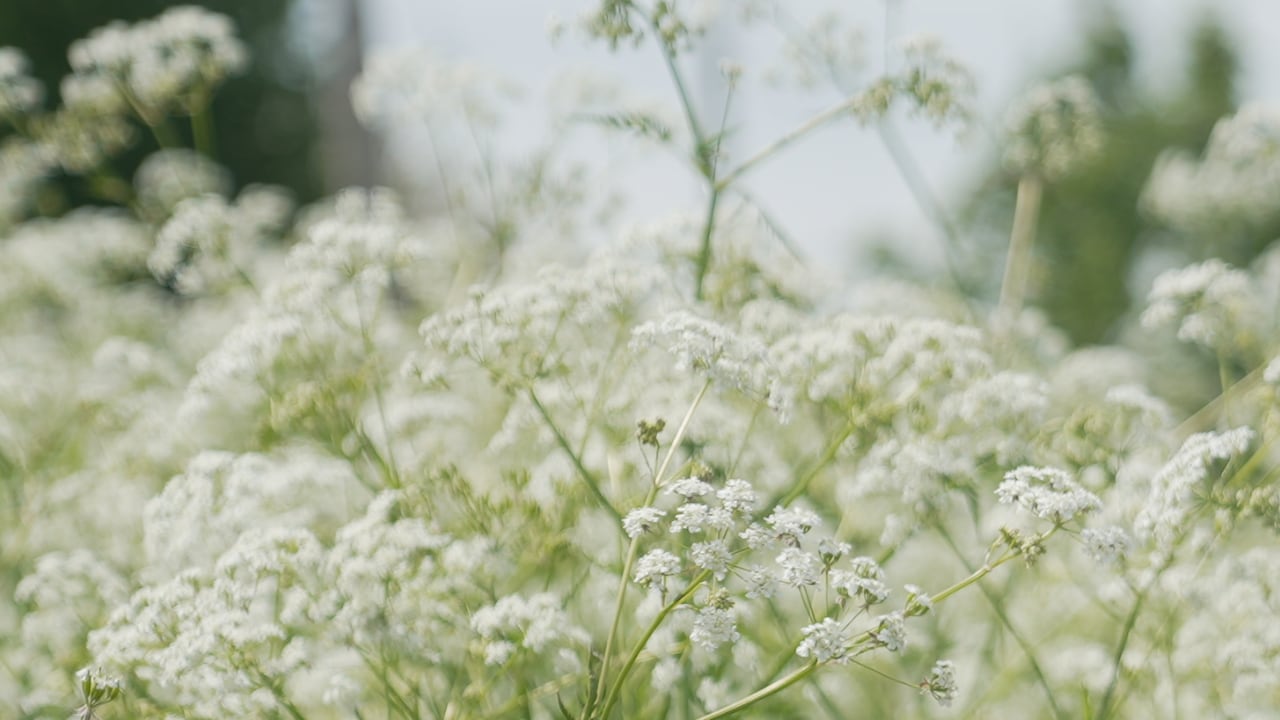 Your allergies are about to get worse