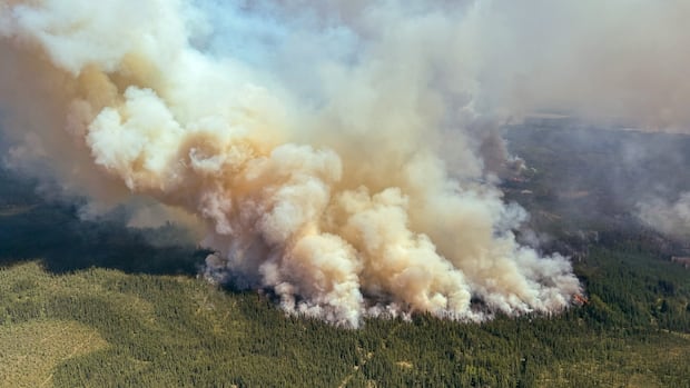Air quality alerts issued across Ottawa area as wildfire smoke drifts east