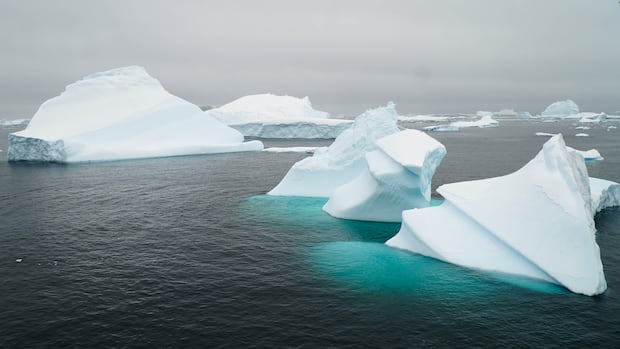Antarctic treaty under stress as member countries gather in Italy