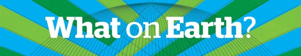 Boston ditches roadside grass