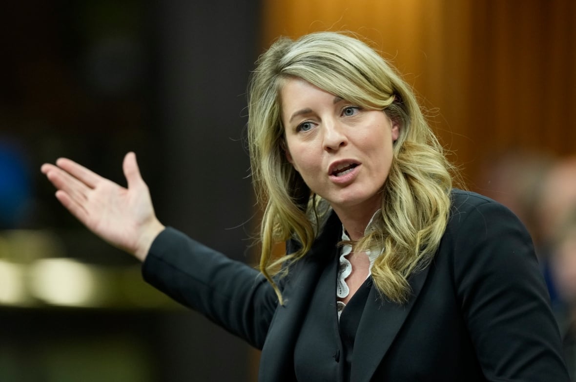 Canada orders China's Hikvision to close Canadian operations over security concerns