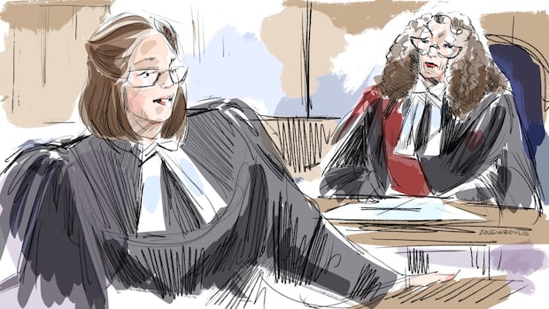 E.M. 'did not choose' to consent to sex acts with ex-Hockey Canada players, Crown argues at trial