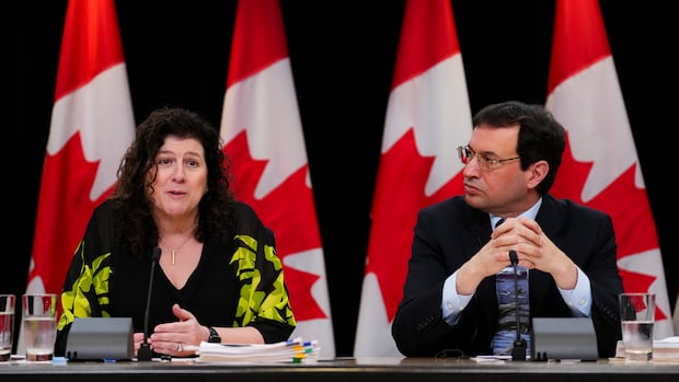 F-35 program facing skyrocketing costs, pilot shortage and infrastructure deficit: auditor general