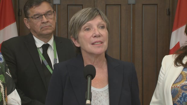 Federal government to match Red Cross donations to help wildfire victims