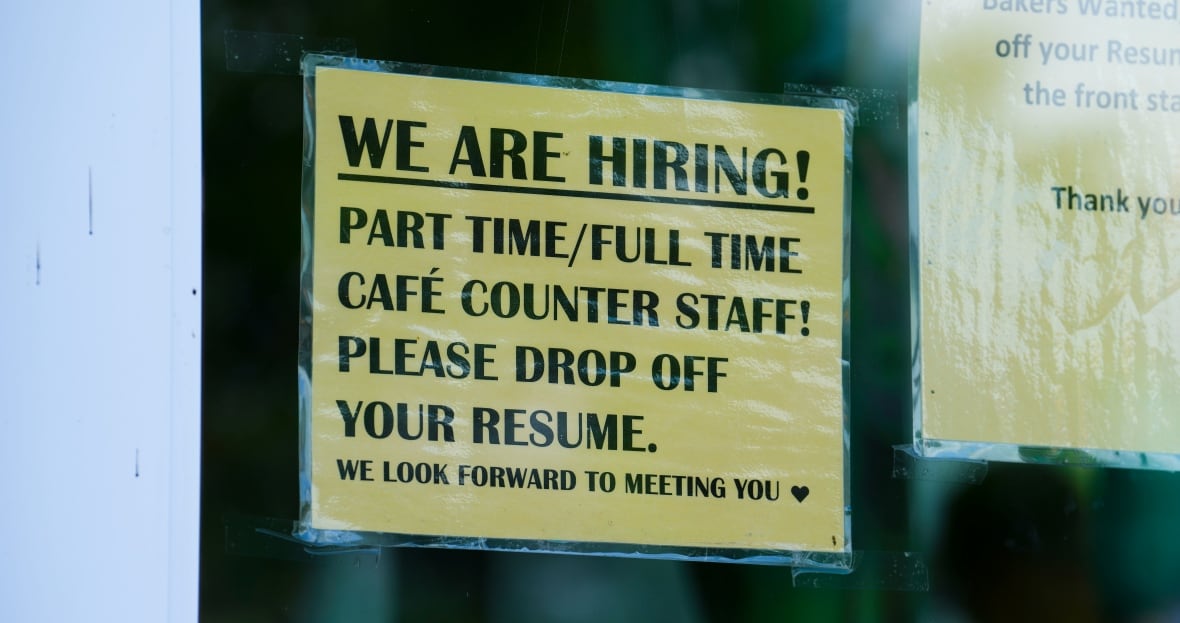 Feds announce up to 6,000 more Canada Summer Jobs as youths struggle to find work