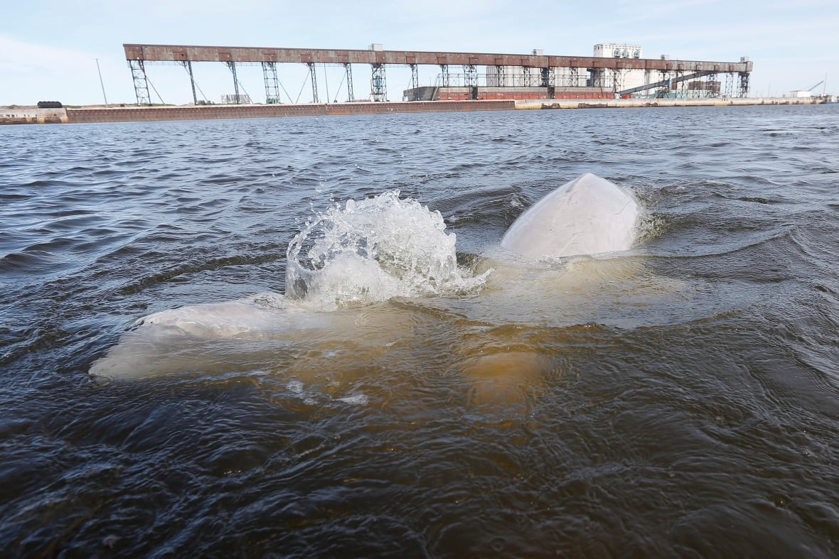 Here's a look at some major projects Canada's leaders hope to fast-track