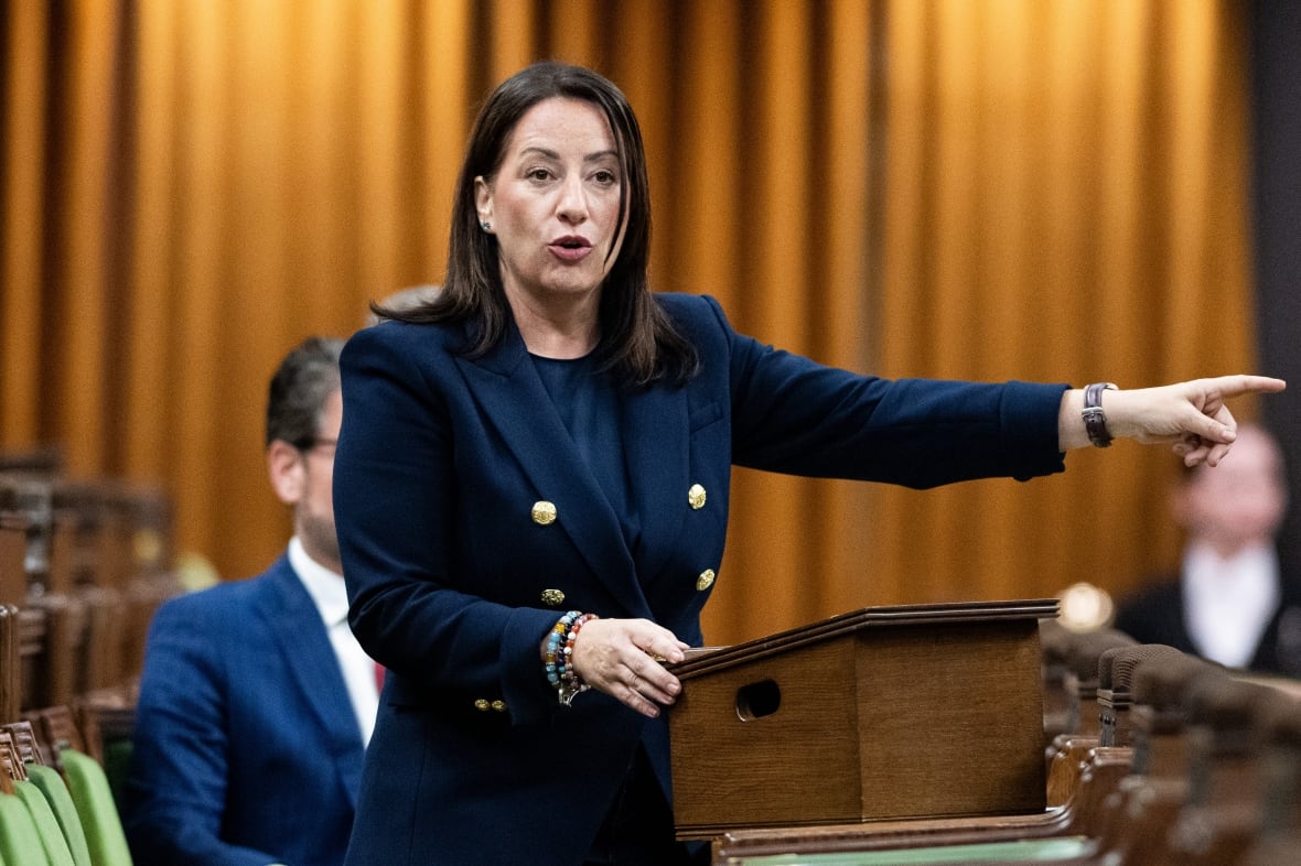 Liberals see a need for speed on major projects bill. Critics warn that's risky