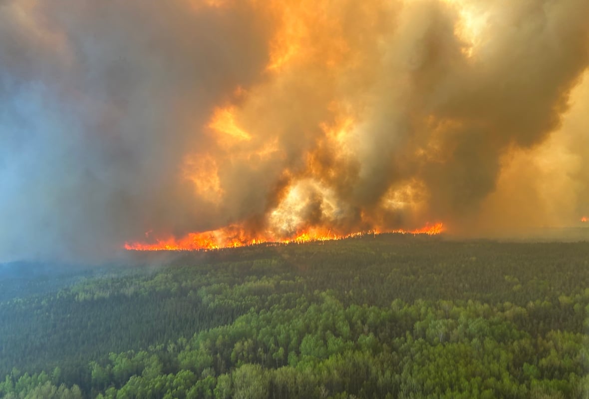 Pilot lands helicopter in lake after it loses power while fighting northwestern Ontario wildfire