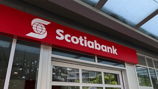 Scotiabank holds customer responsible for almost $20K in credit card fraud