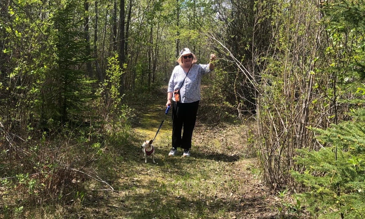 Skin crawling surprise: Alberta woman says camping trip was ruined by dozens of ticks