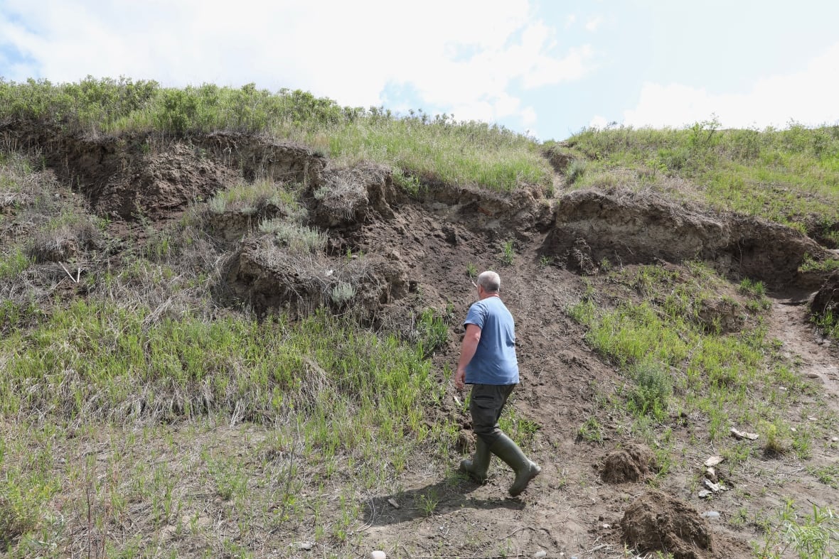 Ancient Saskatchewan archaeological site falls victim to illegal scavenging