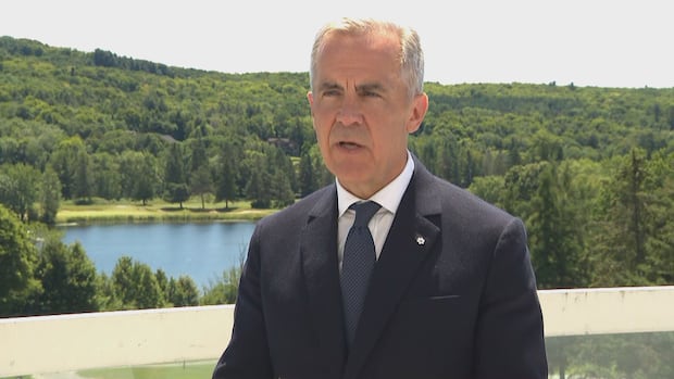 Carney tells premiers he'll only sign a U.S. trade deal 'in the best interest of Canadians'