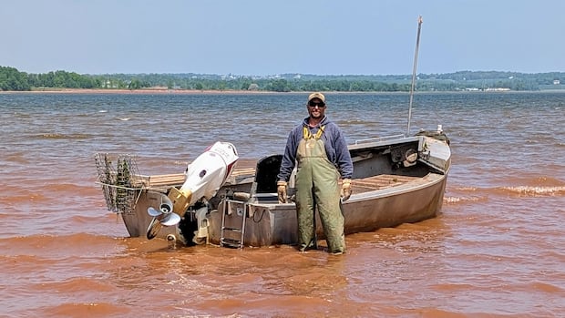 CFIA confirms Prince Edward Island's 1st case of dermo, in oysters from Egmont Bay