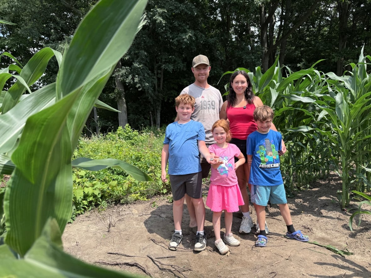 Family unearths ancient spearhead at their Paris, Ont., farm in 'freak' discovery