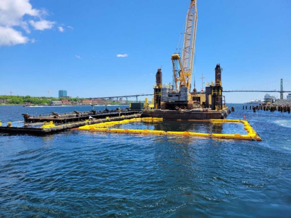 Halifax Explosion artifacts were pulled from the harbour last year. So, now what?