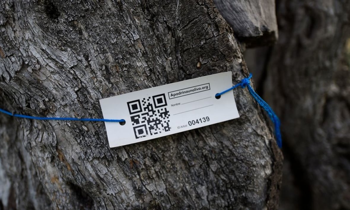 Is that QR code actually a scam? Here's what to know about 'quishing' before you scan