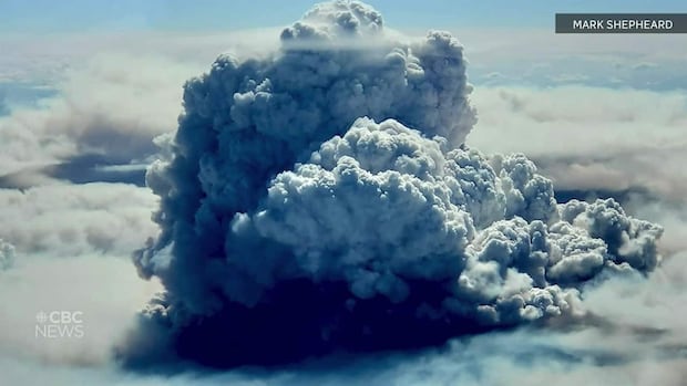 Nearly one-third of forests in northeast B.C. could burn by year's end: province