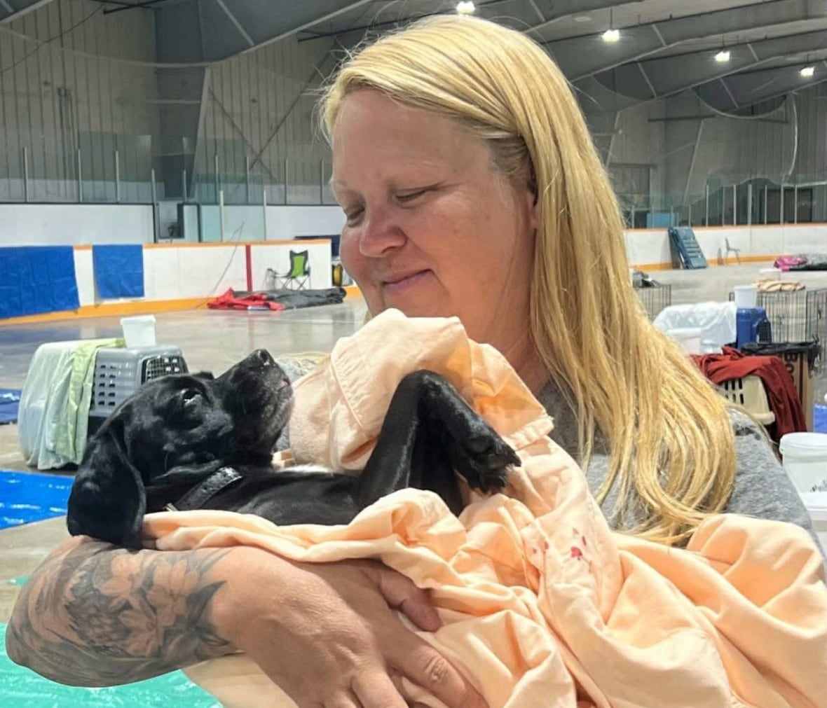 Niagara Dog Rescue, Manitoba groups work to re-home strays and dogs surrendered after wildfires