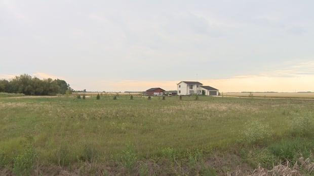 Pilot of small privately registered plane dead after crash in southern Manitoba field