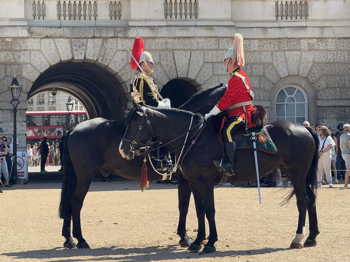 'Quite an honour': Canadians take a turn as the King's Life Guard in London