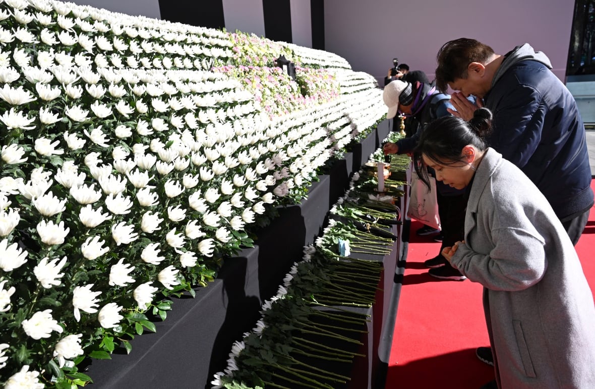 South Korean pilot may have shut off less-damaged engine in crash that killed 179 people